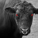 Image for article titled Diablo's Killer Cows Are All Our Fault